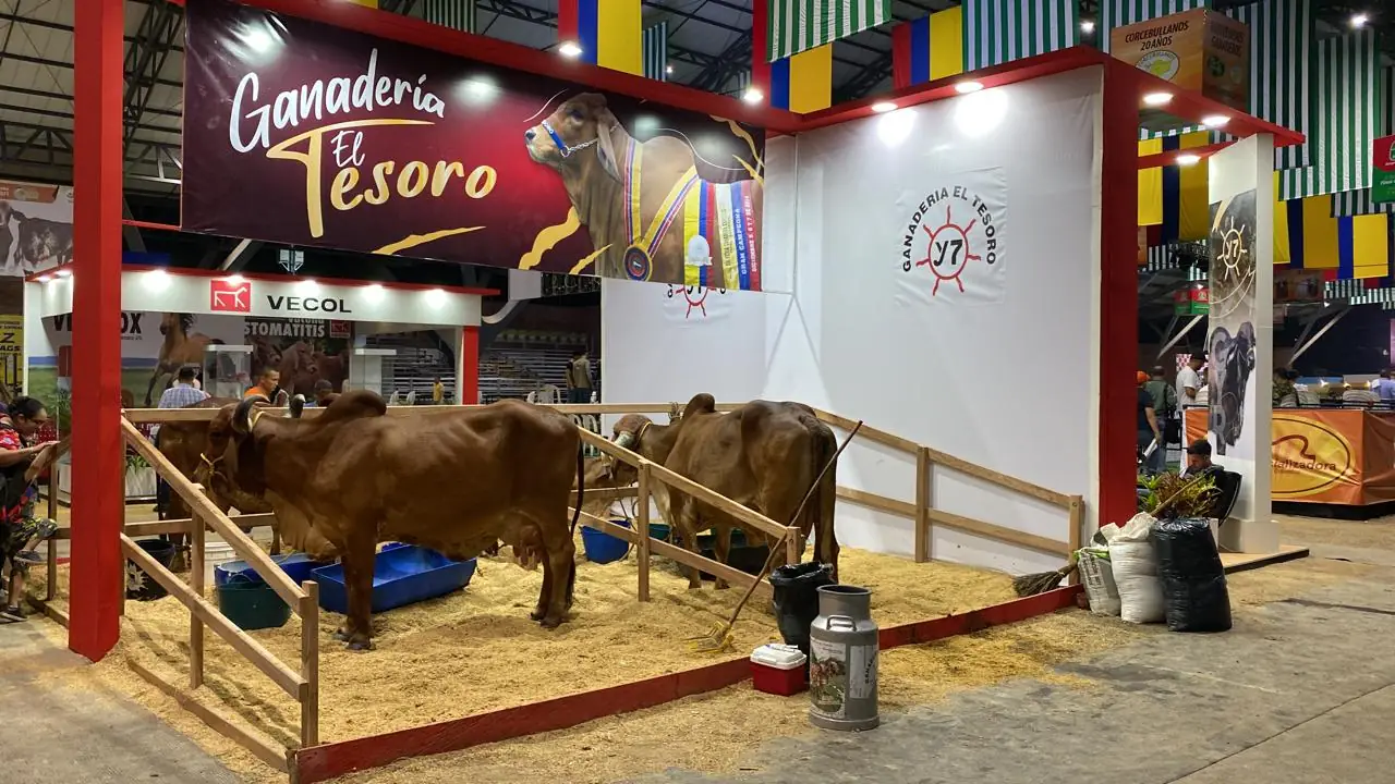 El stand de El Tesoro ya montado en la feria, con el público recorriéndolo